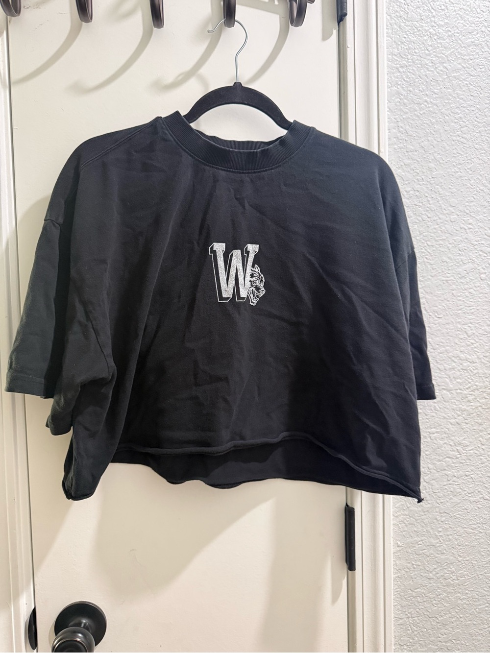 Darc Sport "Wolves Forever" Oversized Cropped Graphic Tee - Size L